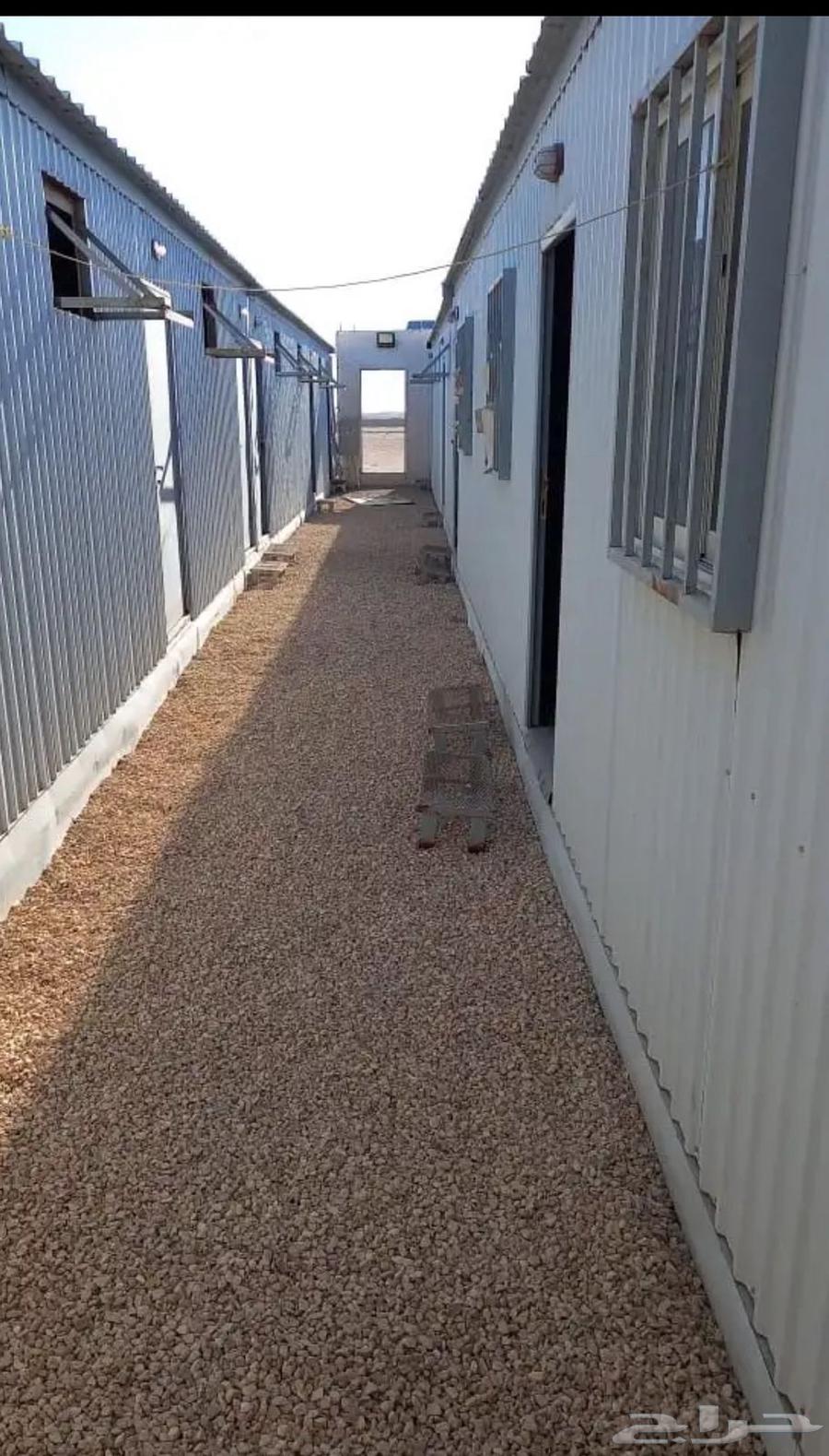 برتبلات للبيع64596587804803114