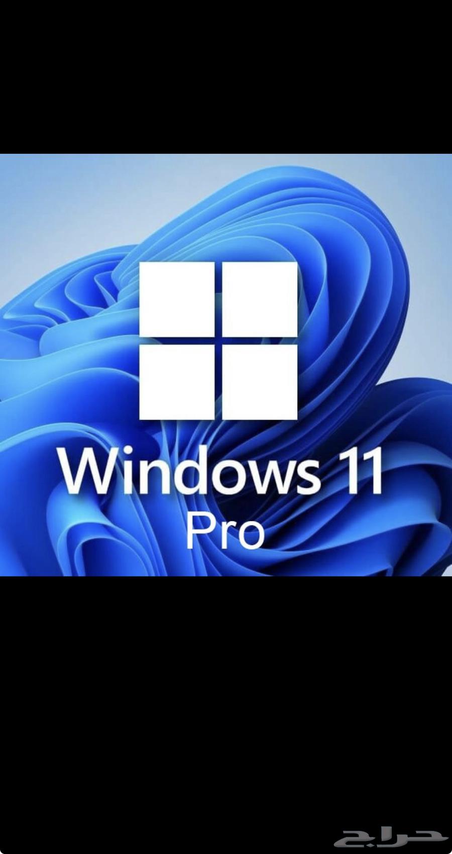 Windows 11-10 Digital Key64598499226242110