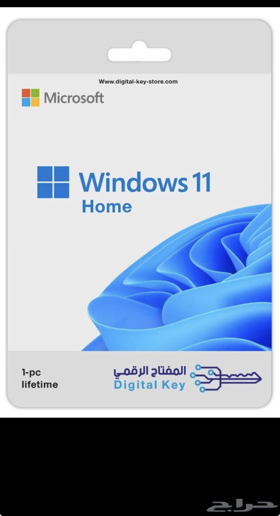 Windows 11-10 Digital Key64598499226242112