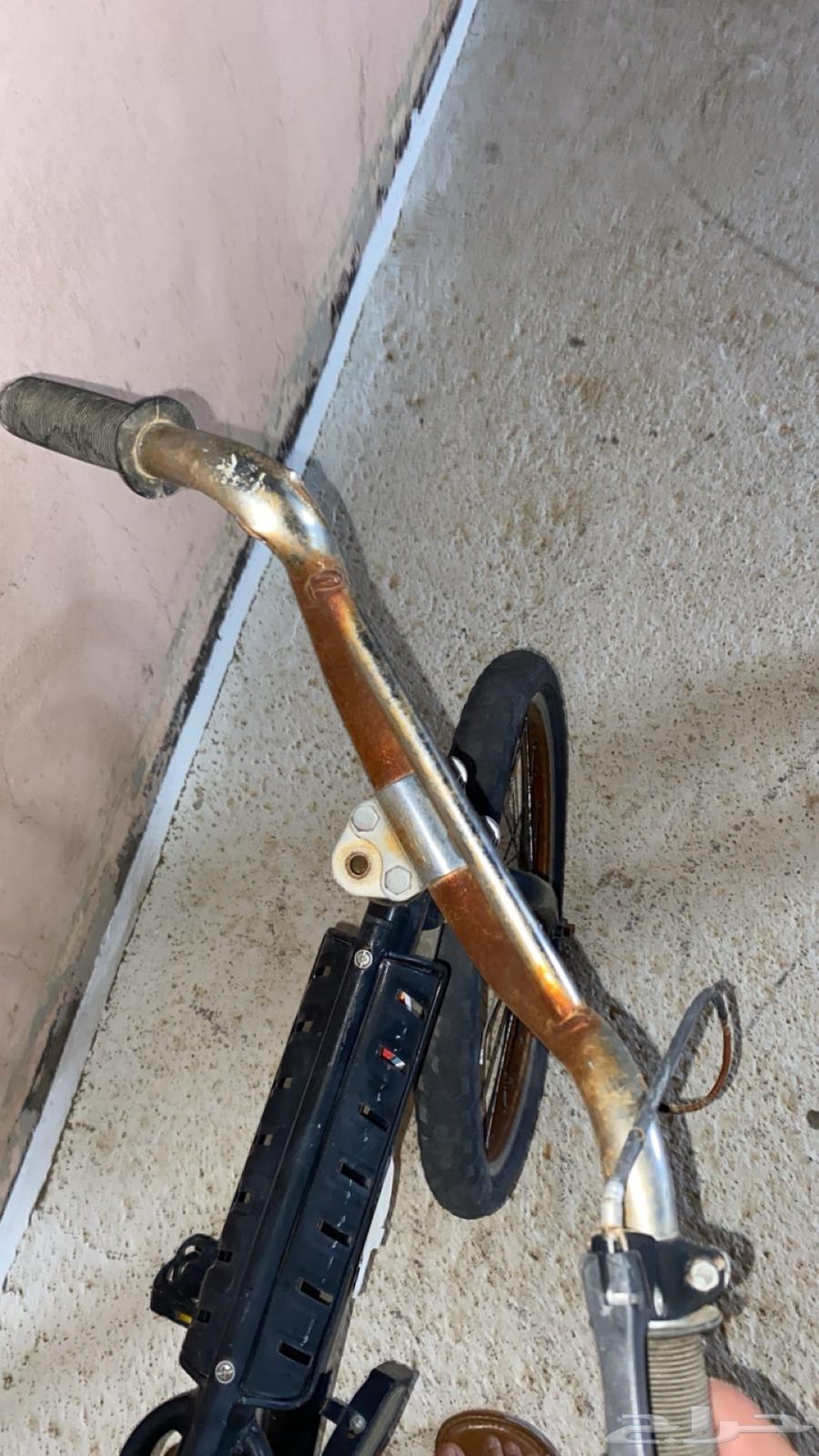 سيكل رامبو64609361457282114