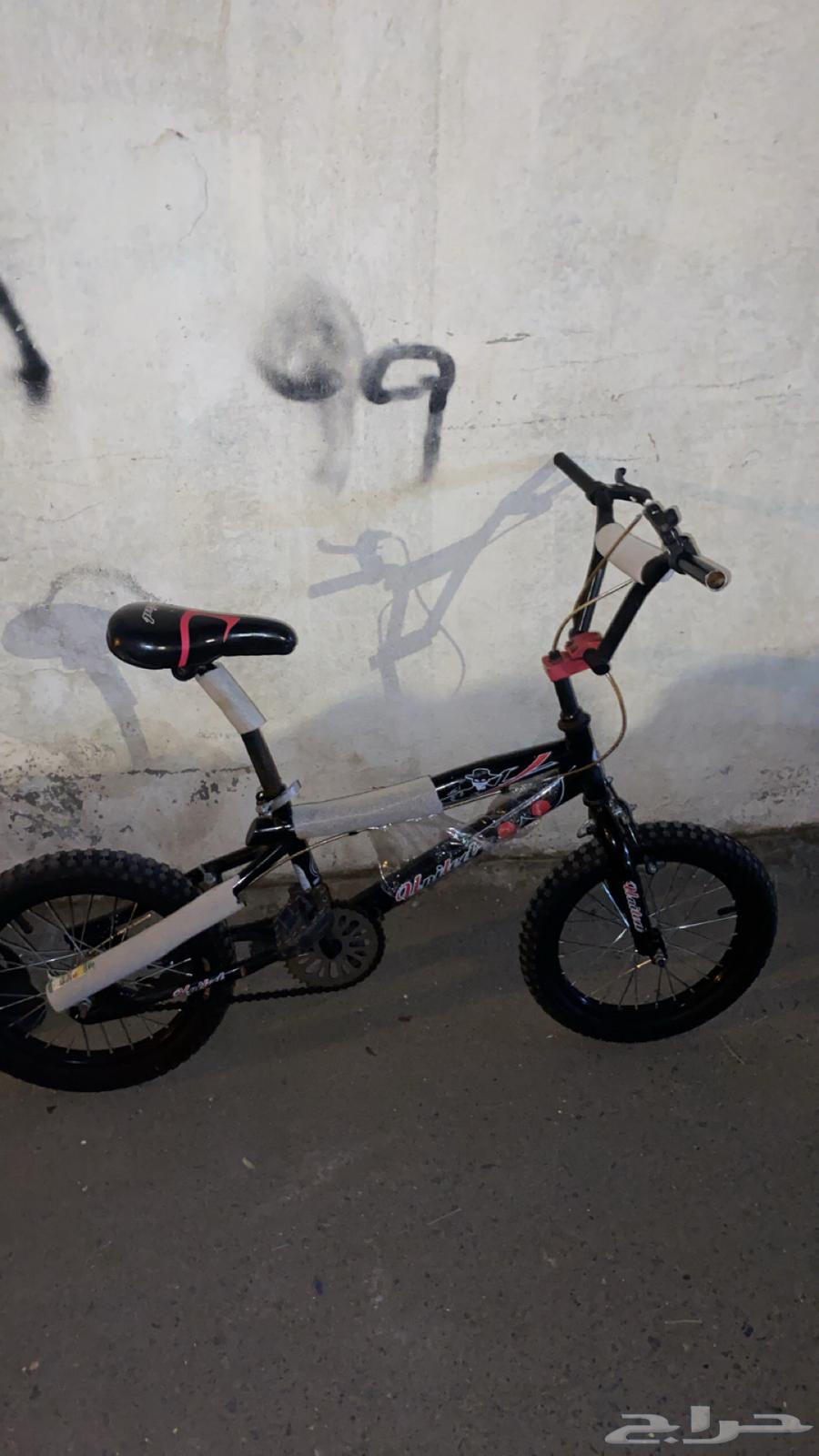 دراجة كوبرا إلاصلي الدراجة نضيفة 200 حياك الله64614434932866110