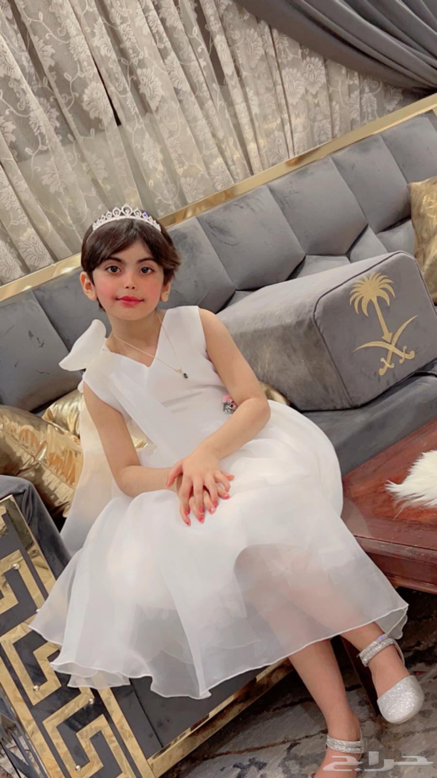 Professional Artist – Image Drawing for 50 SAR64614272884737114