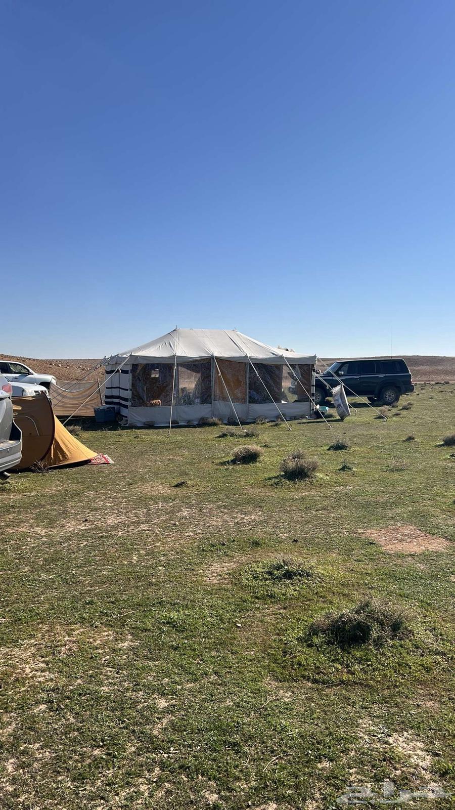 خيمة ام عامودين شرط نضيفه64611480132353111