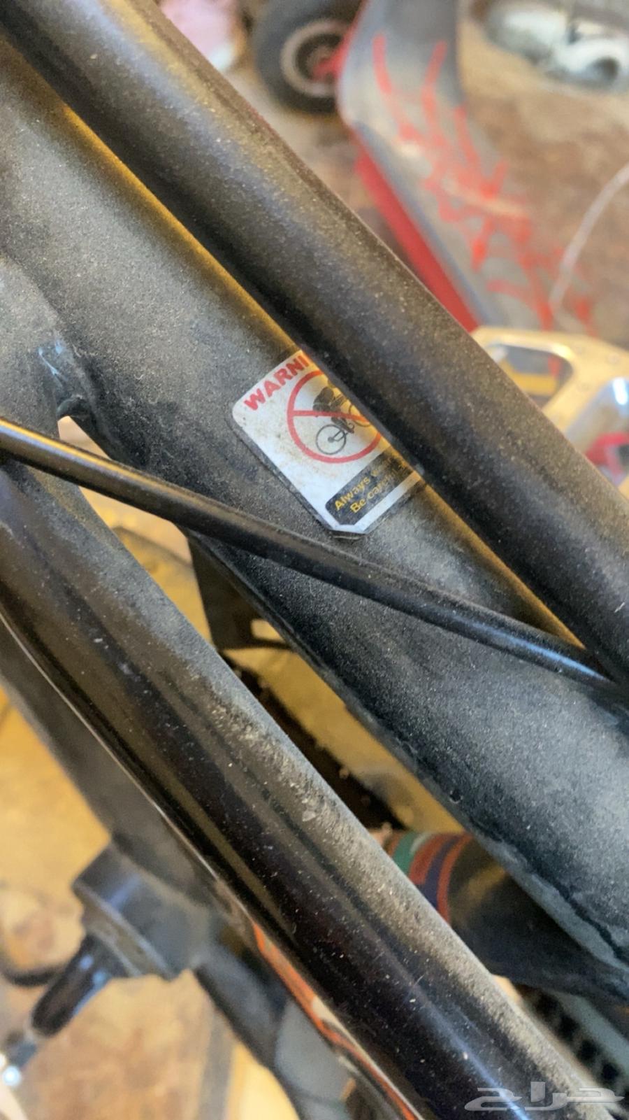 رامبو اندنوسي اصلي64612582612737110