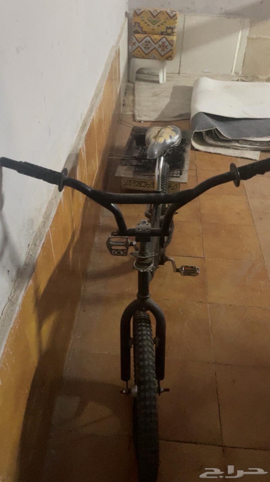 سيكل كوبرا64607159686658110