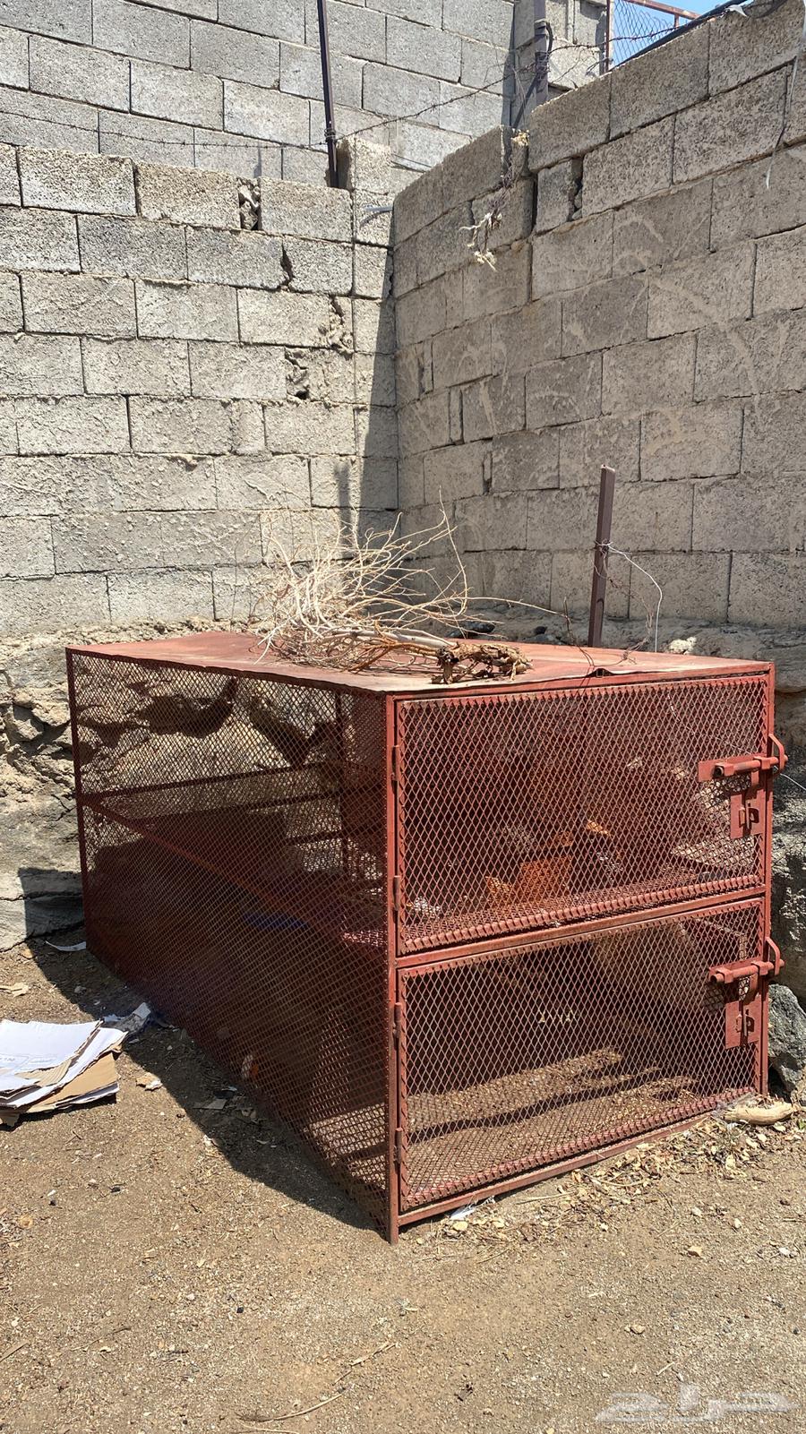 للبيع شبك دجاج او حمام دورين جديد .64608554769539112