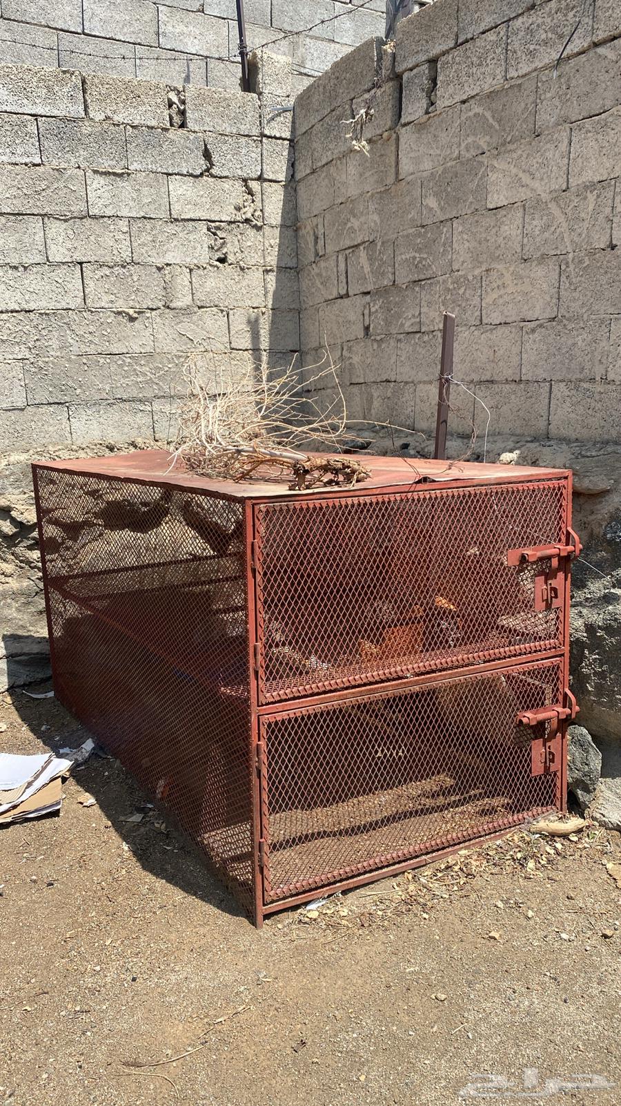 للبيع شبك دجاج او حمام دورين جديد .64608554769539111