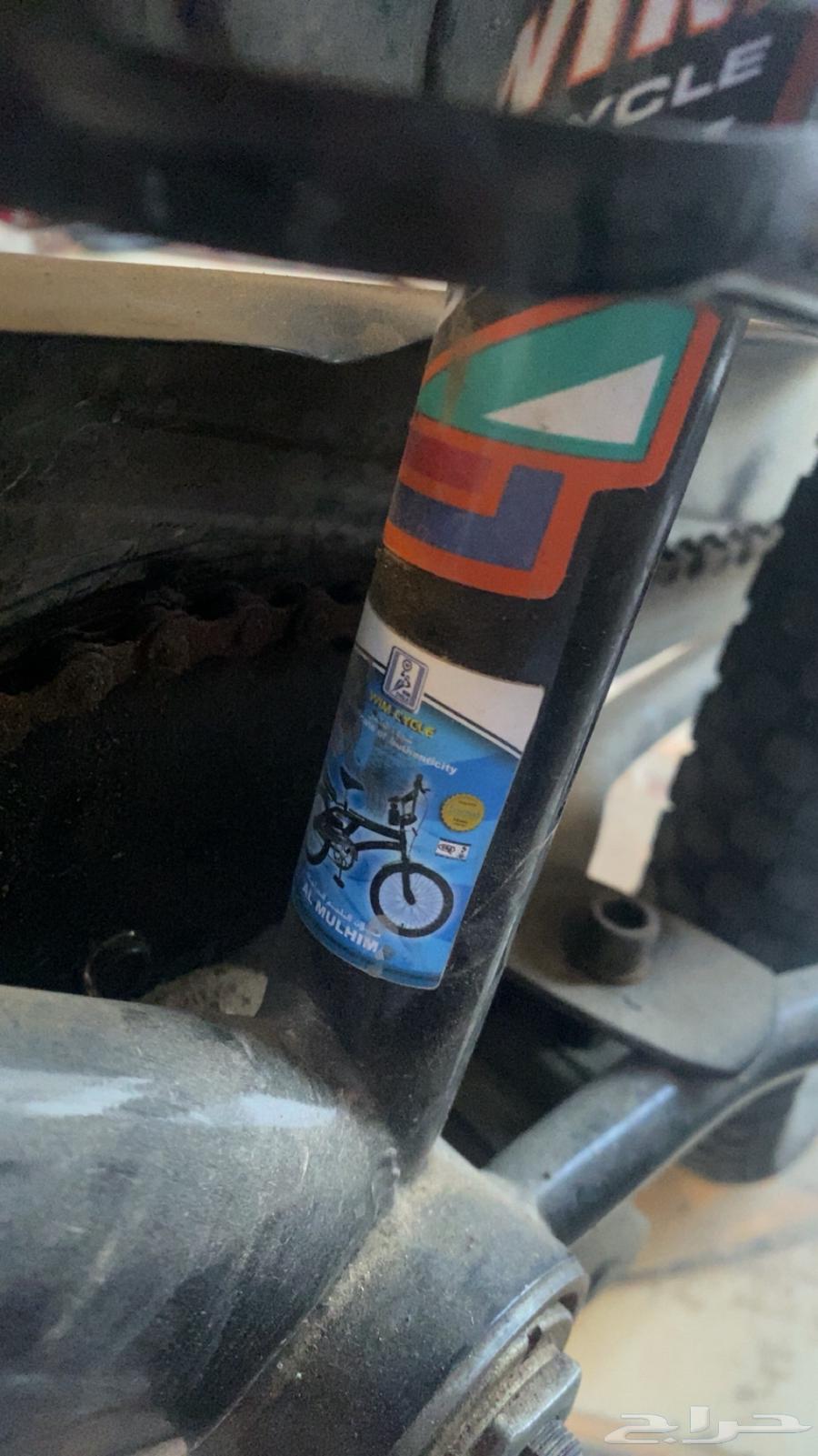 رامبو اندنوسي اصلي64612582612737113