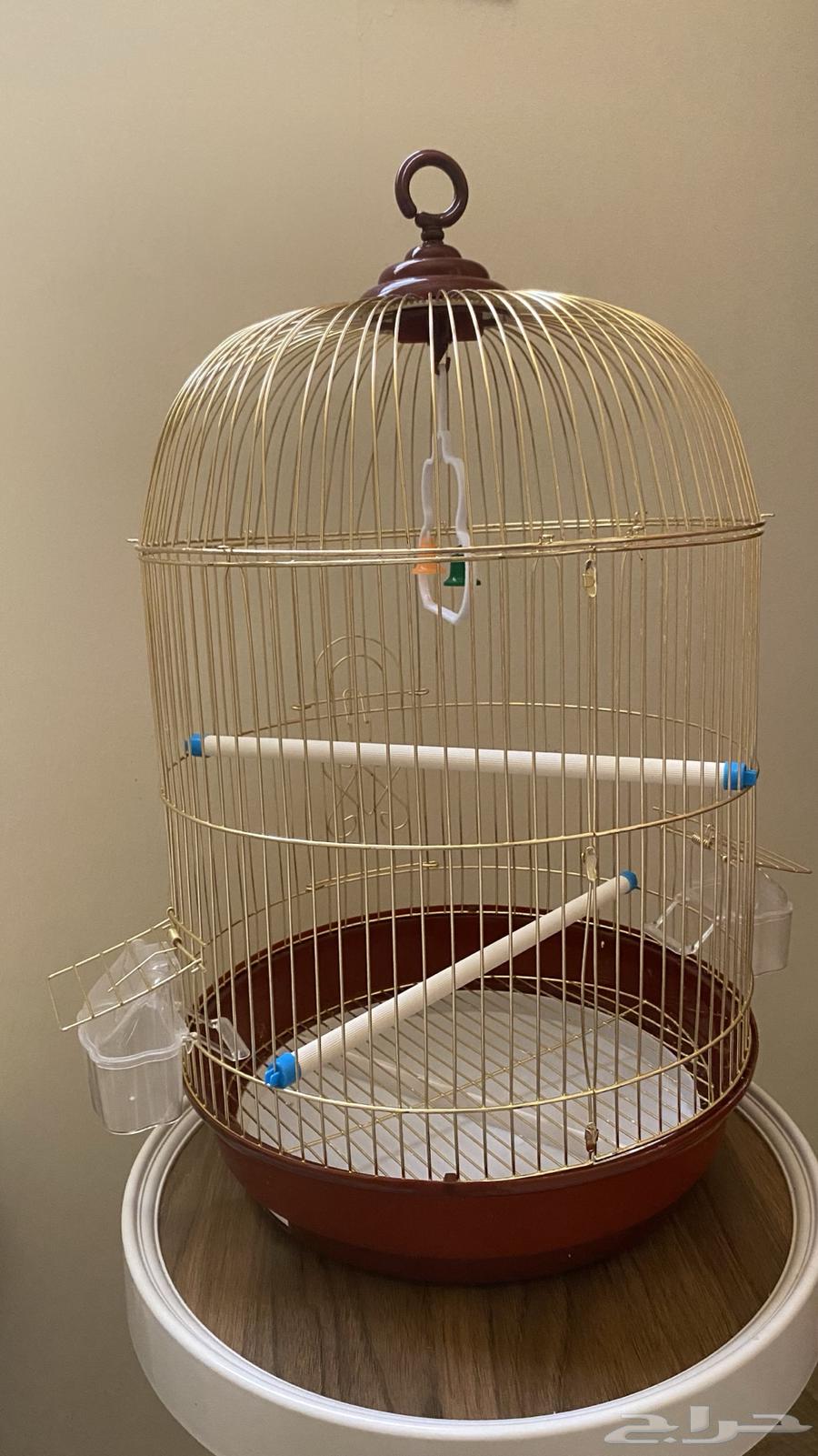 قفص طيور64552334807681110