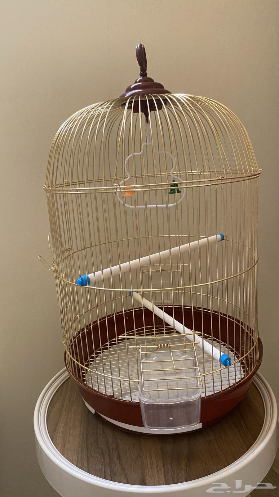قفص طيور64552334807681111