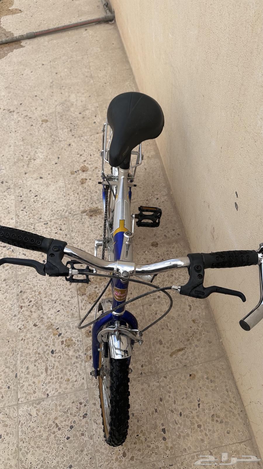 سيكل هندي64607916839426111