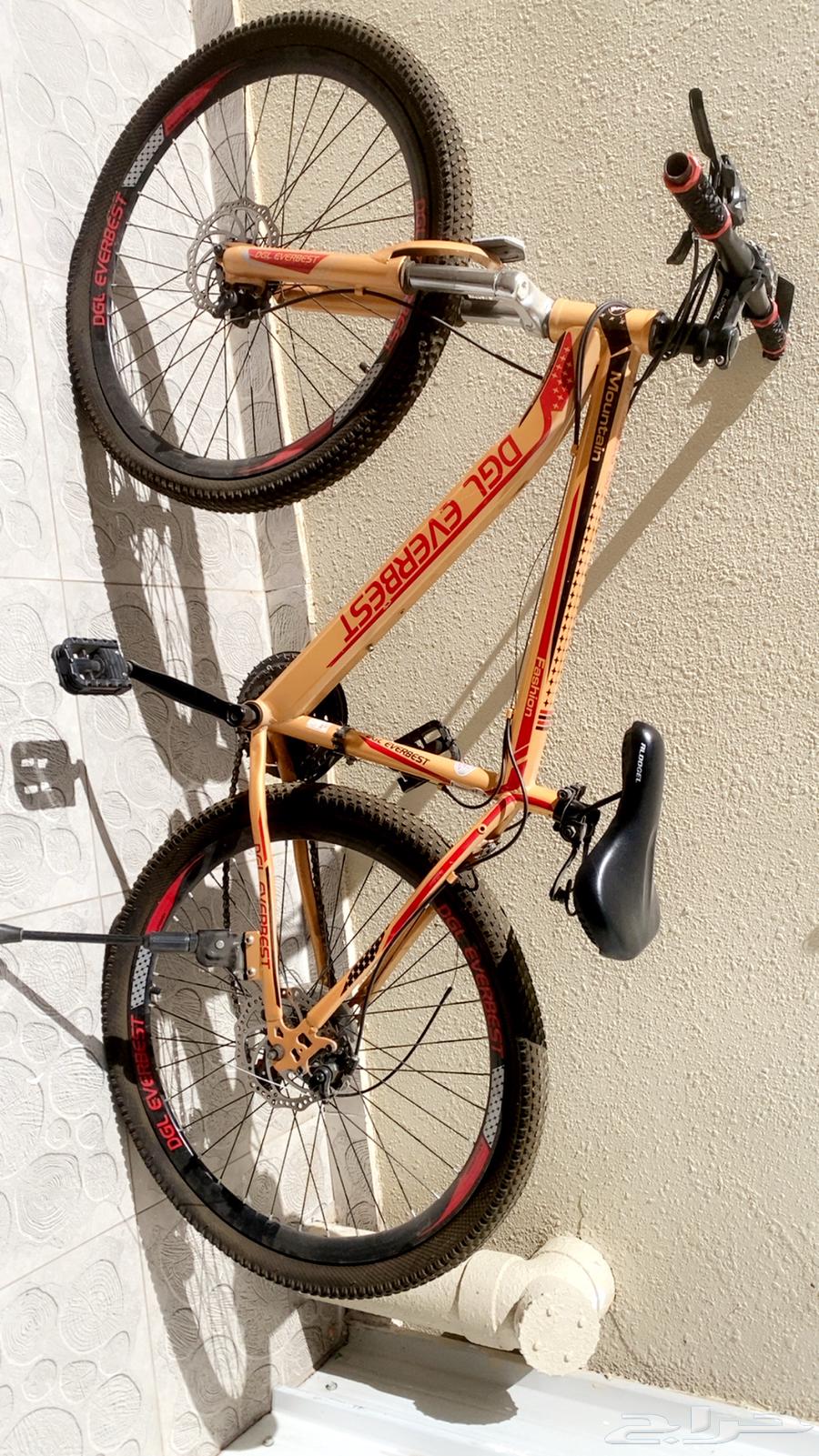 الطايف الحلقه الشرقيه شارع الاربعين64611217291393110