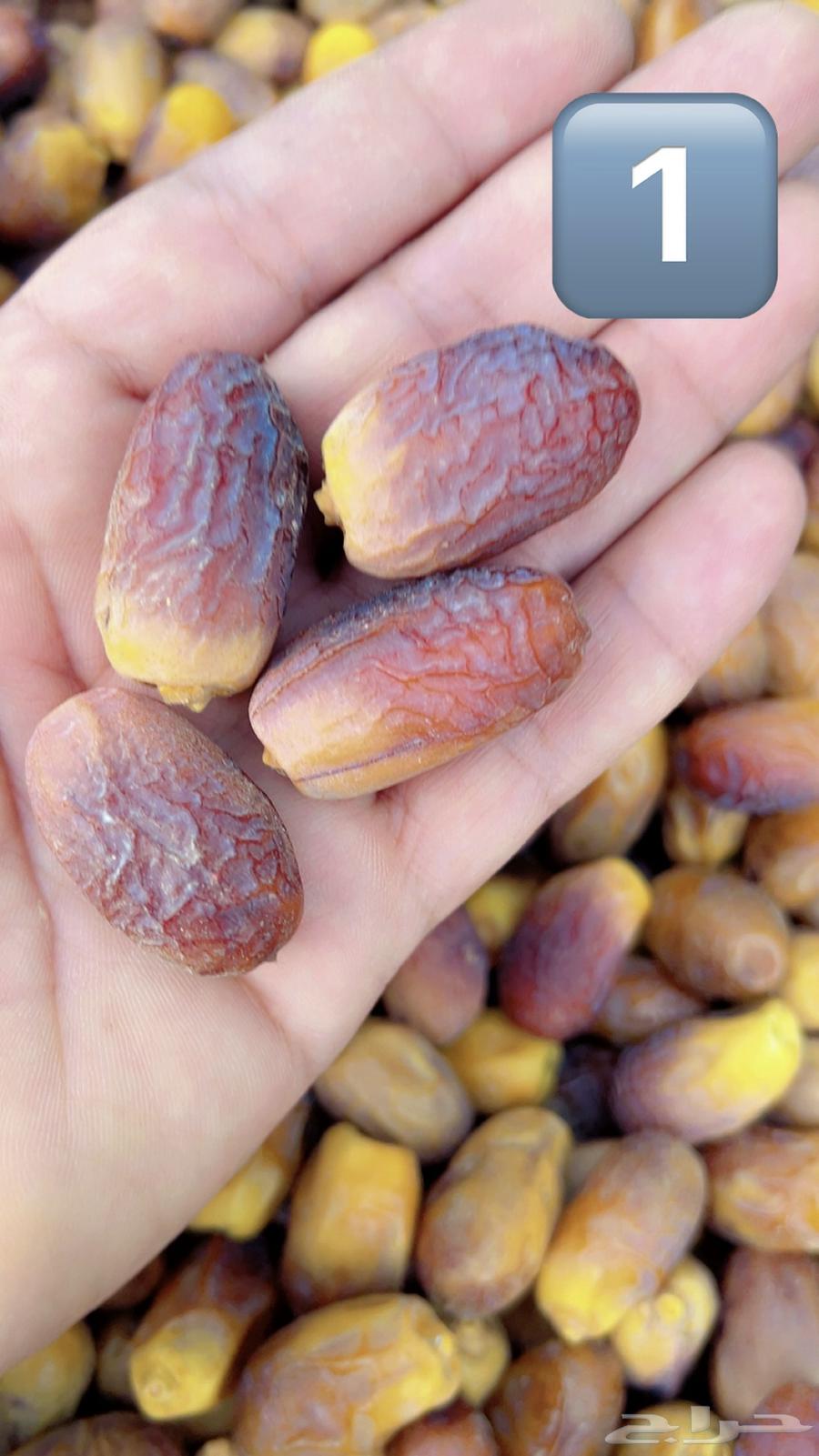 بياض نجران واجود الانواع باقل الاسعار64613349880067111