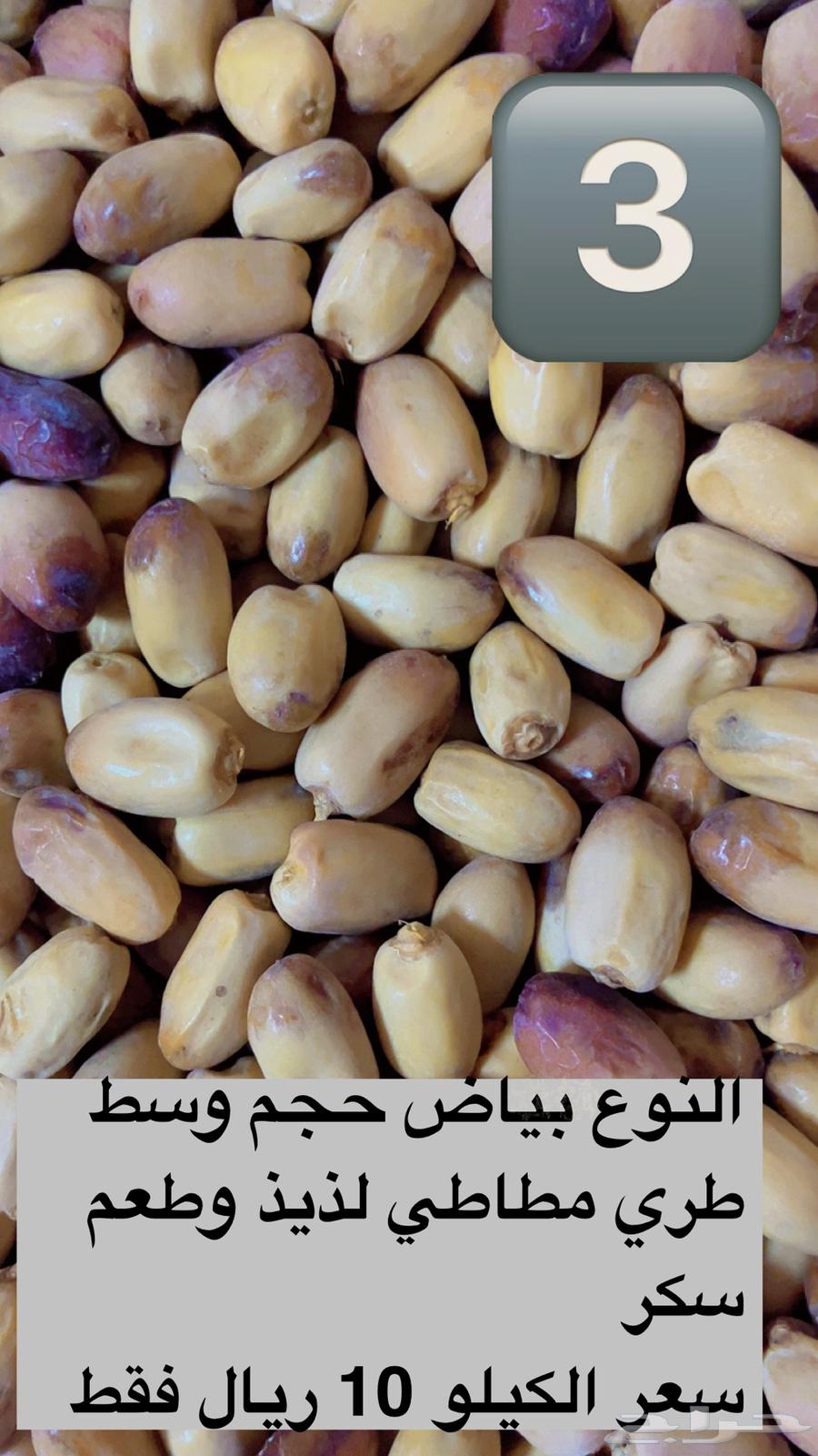 بياض نجران واجود الانواع باقل الاسعار64613349880067114