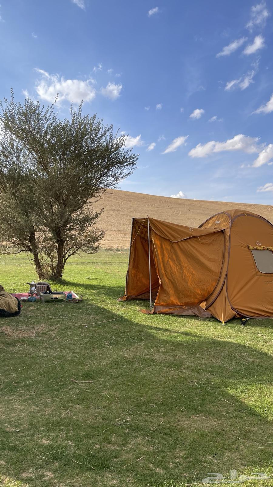 خيمة شقردية للبيع64613068173315110