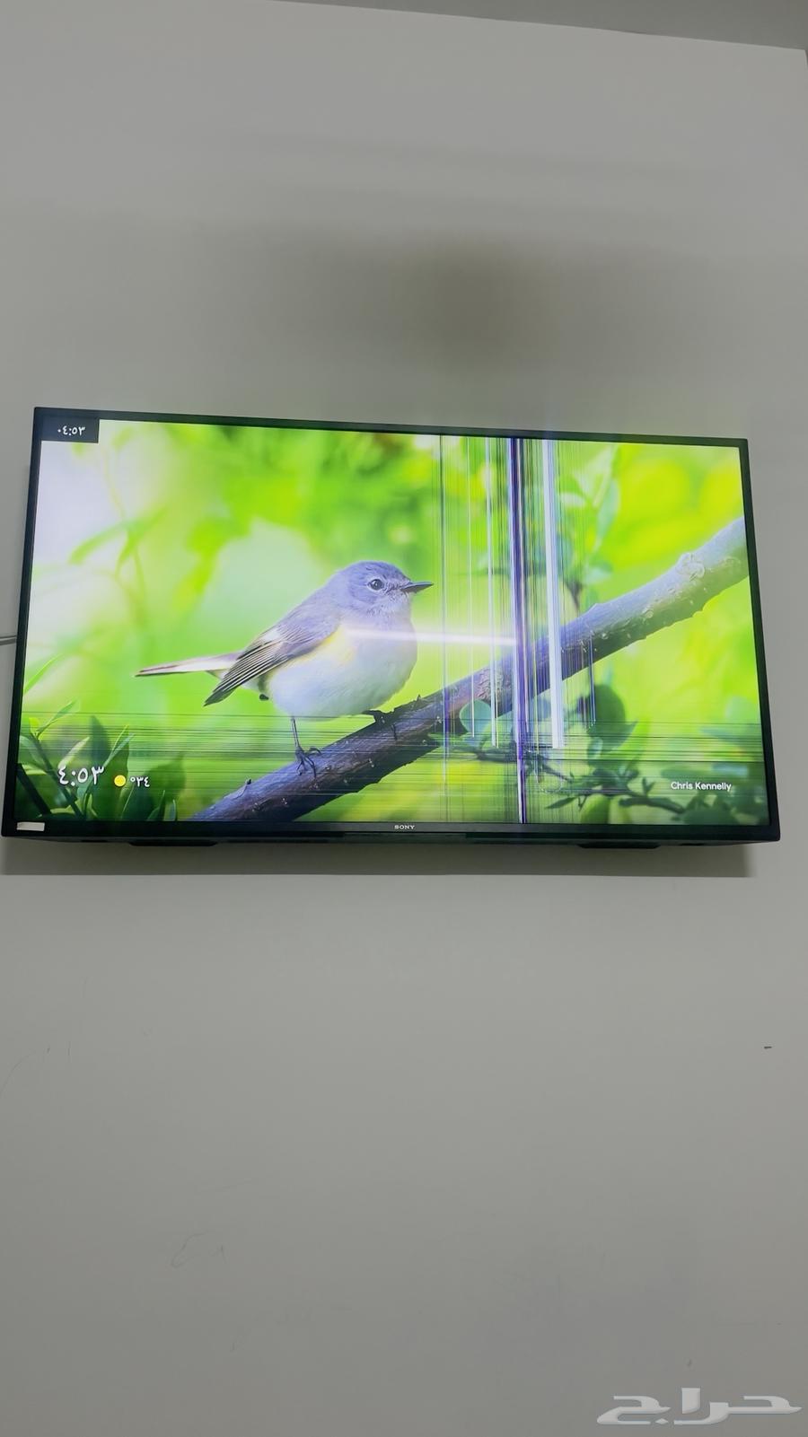 تلفزيون 55 بوصة سوني فيه كسر في الشاشة64611754283266110