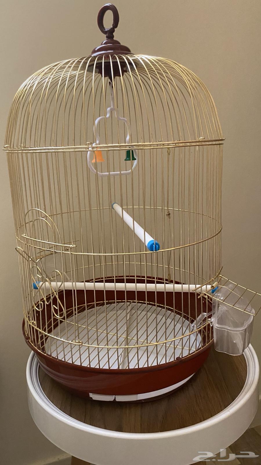 قفص طيور64552334807681112