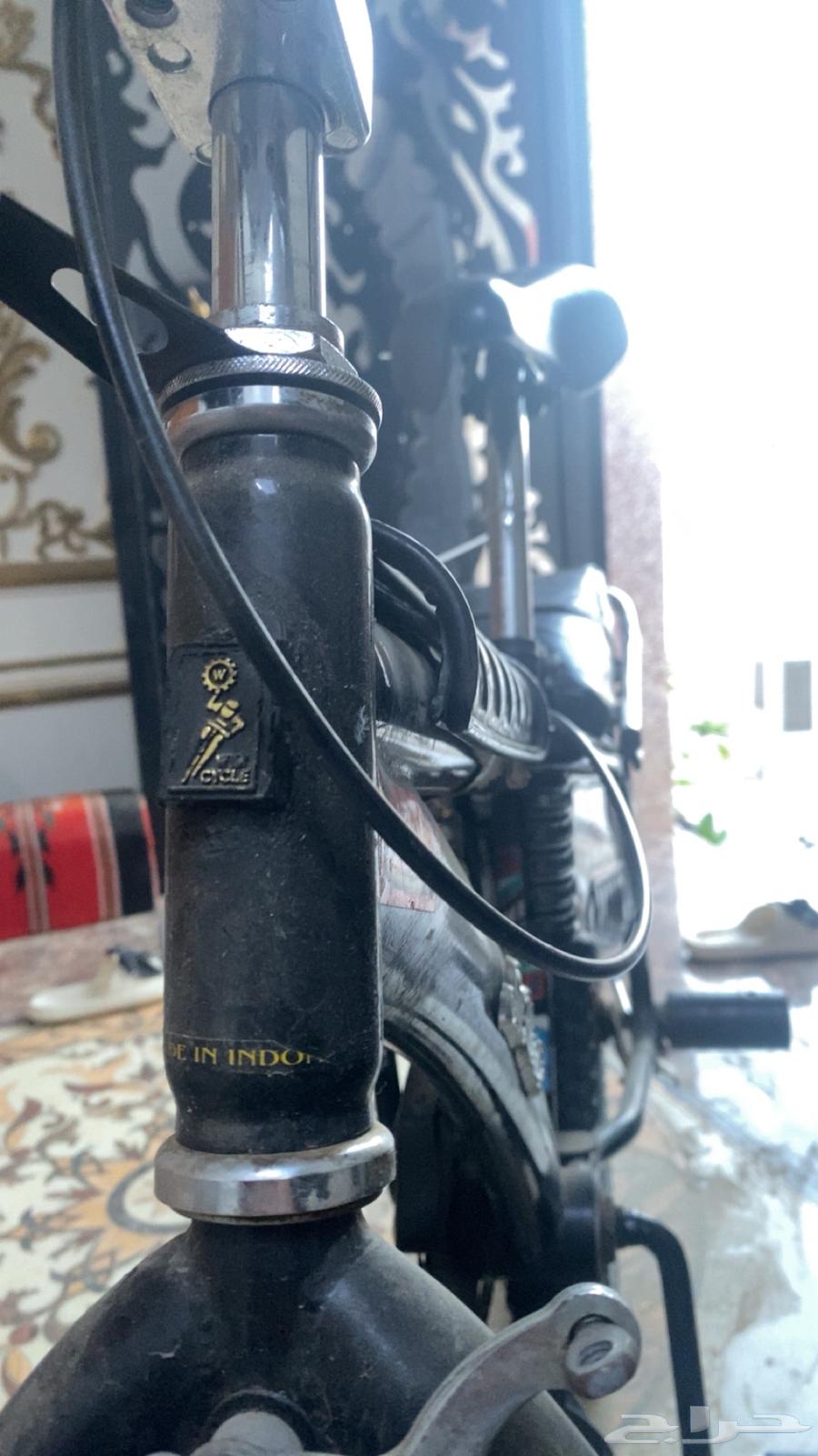 رامبو اندنوسي اصلي64612582612737112