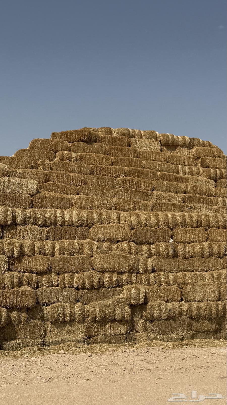 Barley Straw Feed for Sale – Tlabain, Jundair, Price: 1364609311751426111