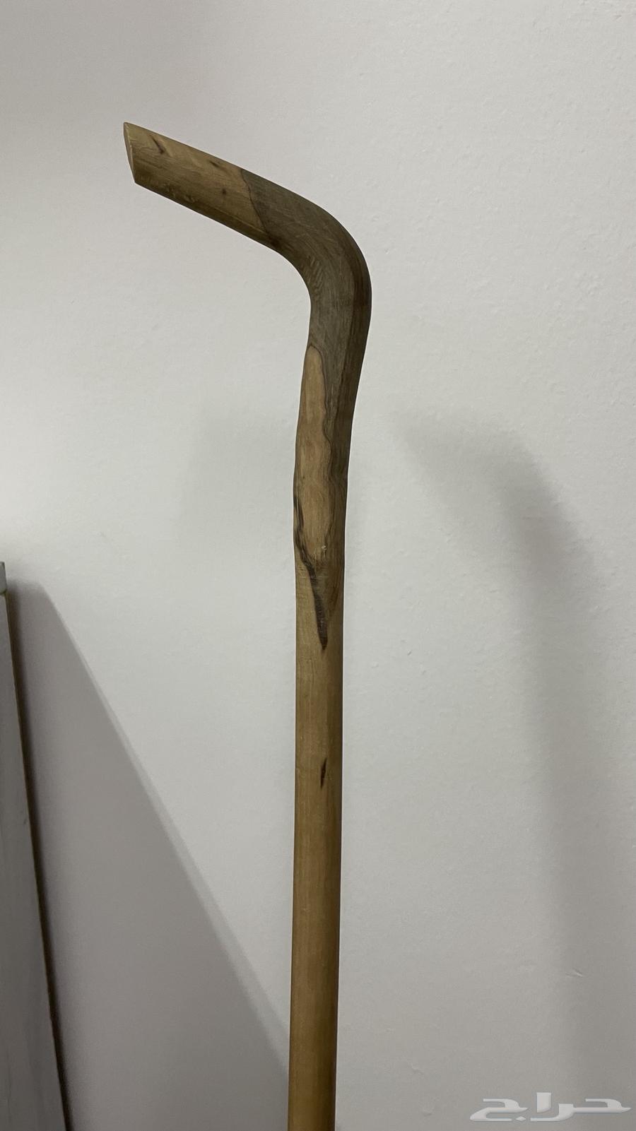 عصا للبيع64615028861443111