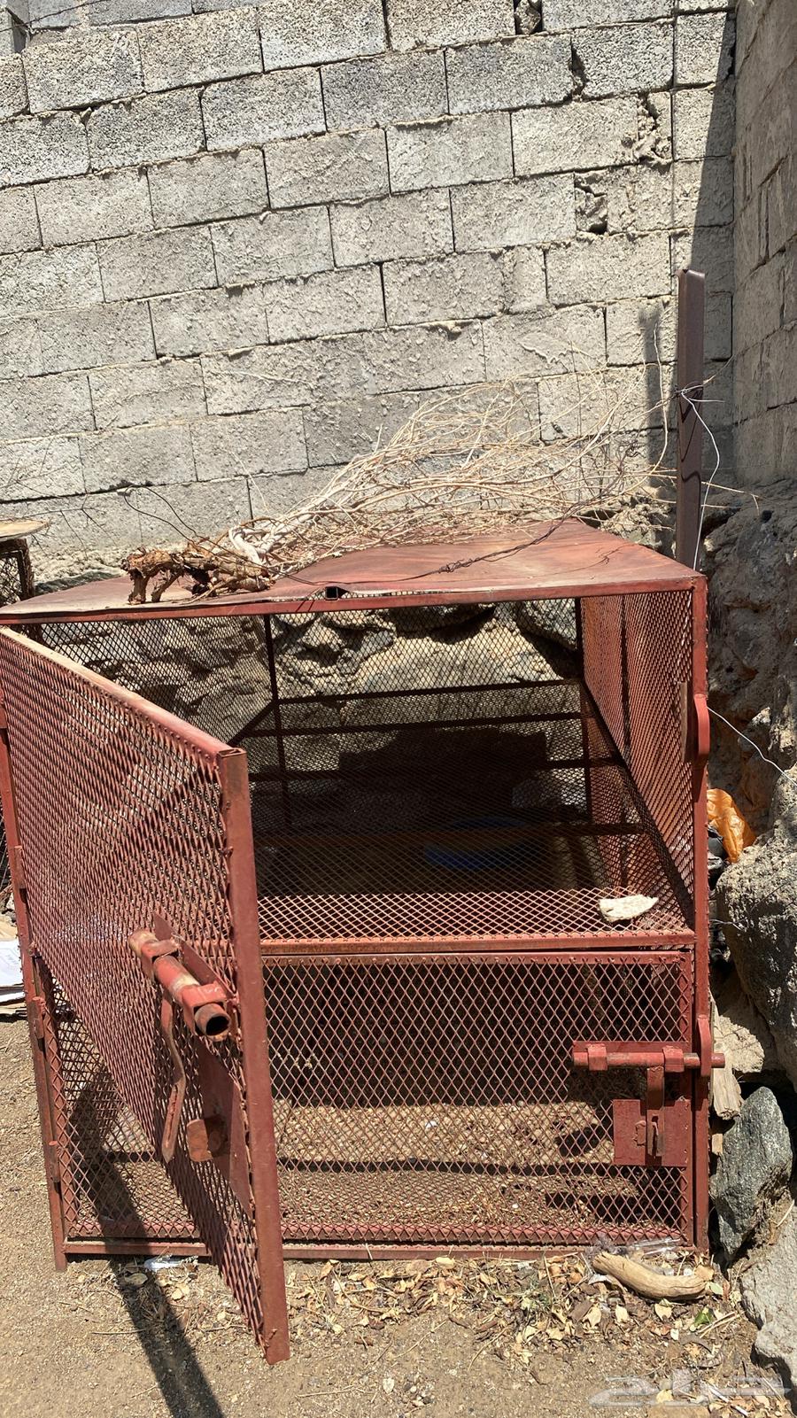 للبيع شبك دجاج او حمام دورين جديد .64608554769539113