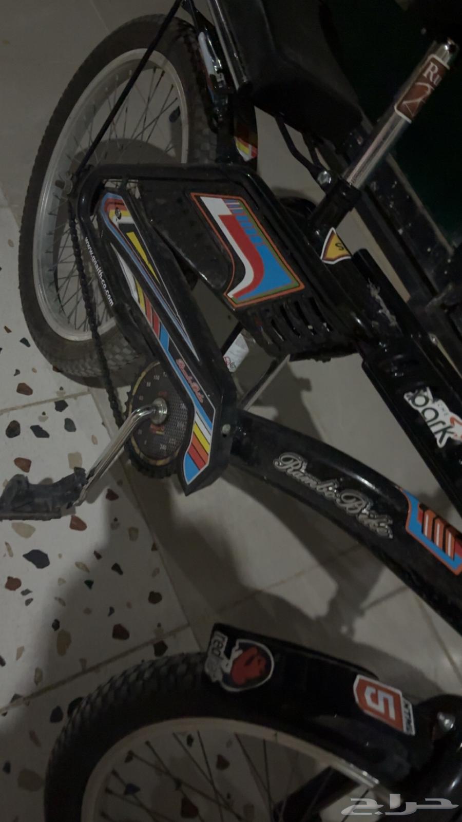 رامبو شبه جديد64616115763457110