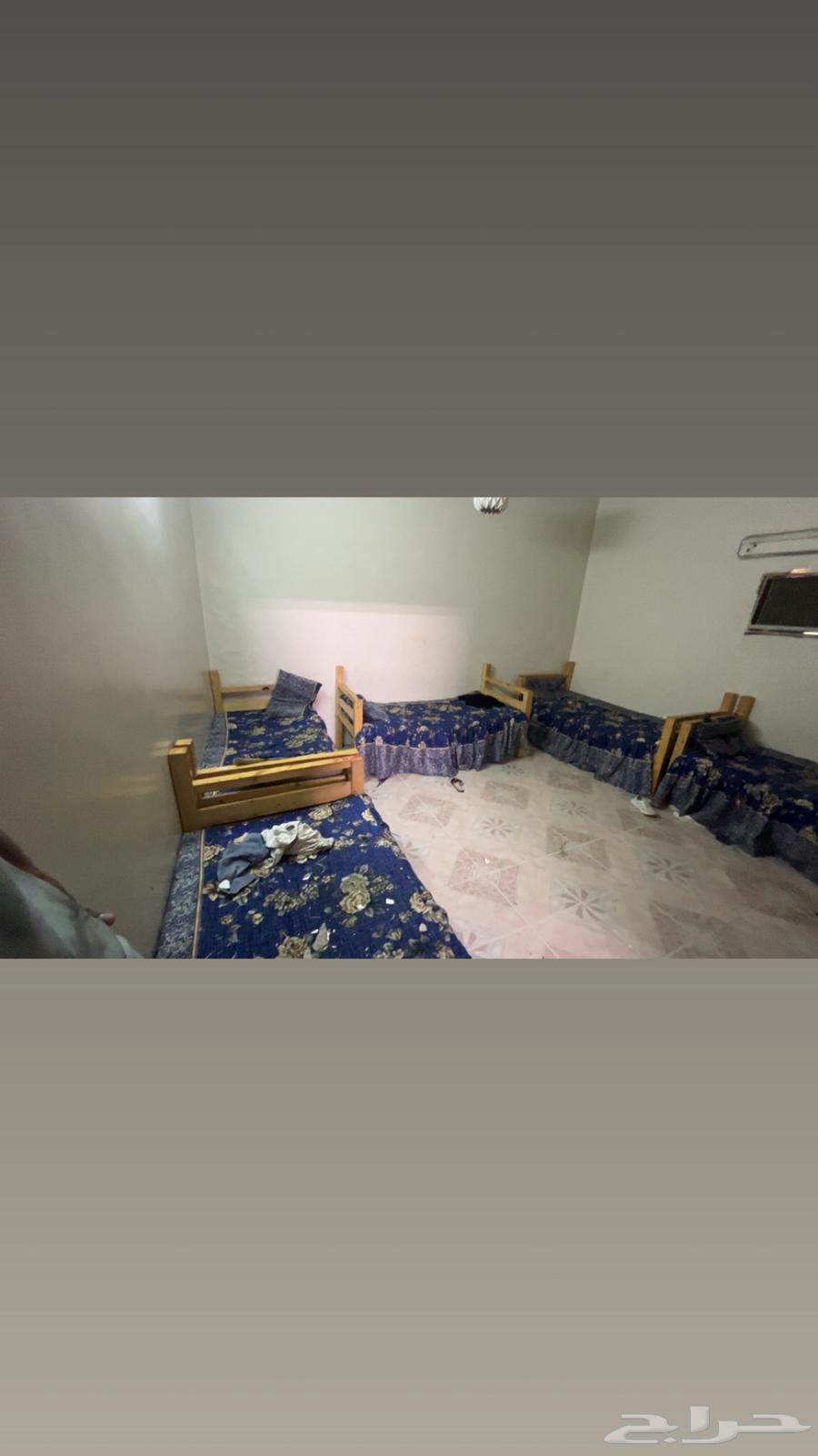 كراسي للبيع مع الفرش جديده بسعر رخيص64610904495489110