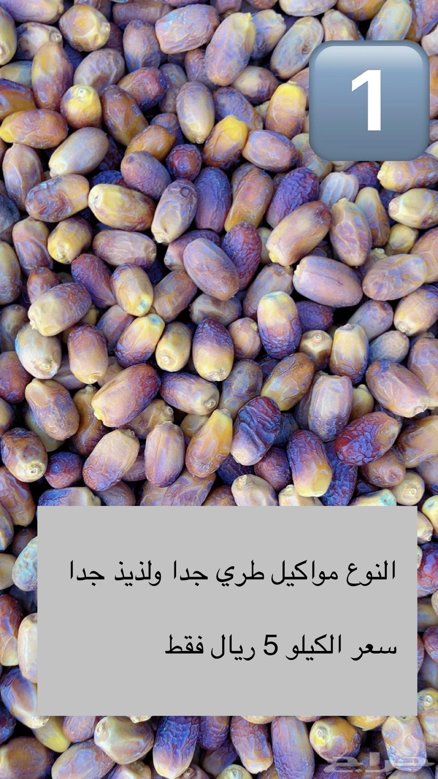 بياض نجران واجود الانواع باقل الاسعار64613349880067110