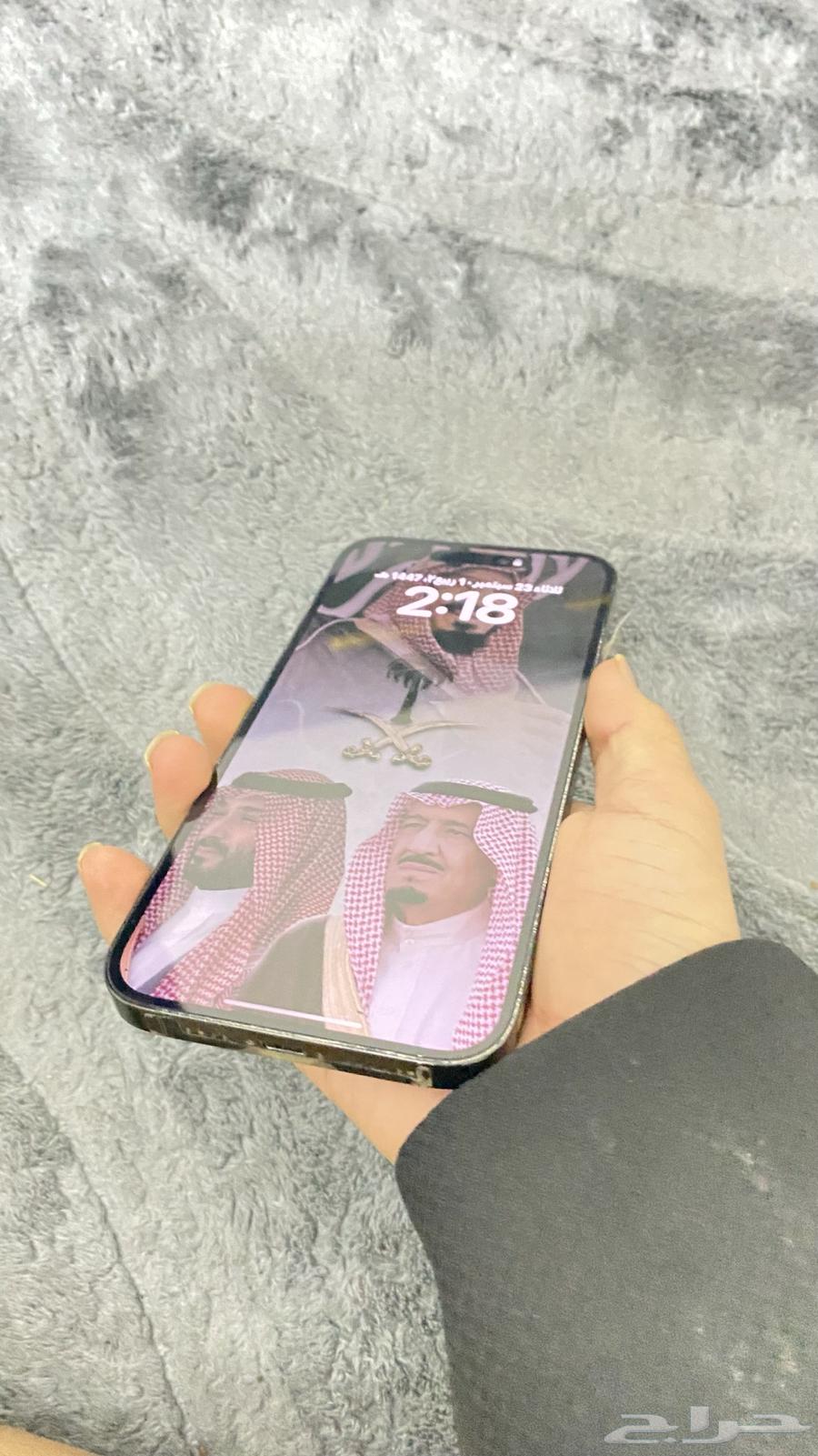 iPhone Pro Max 1464614061094786111