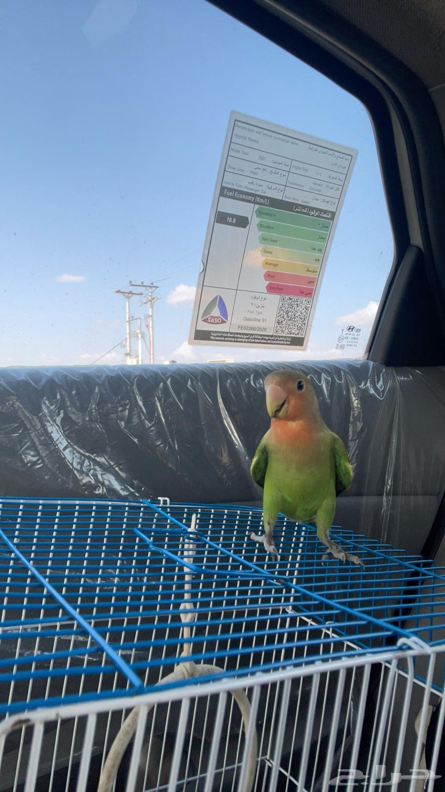 روز ذكر للبيع مستعجل ( انباع )64611067327361113