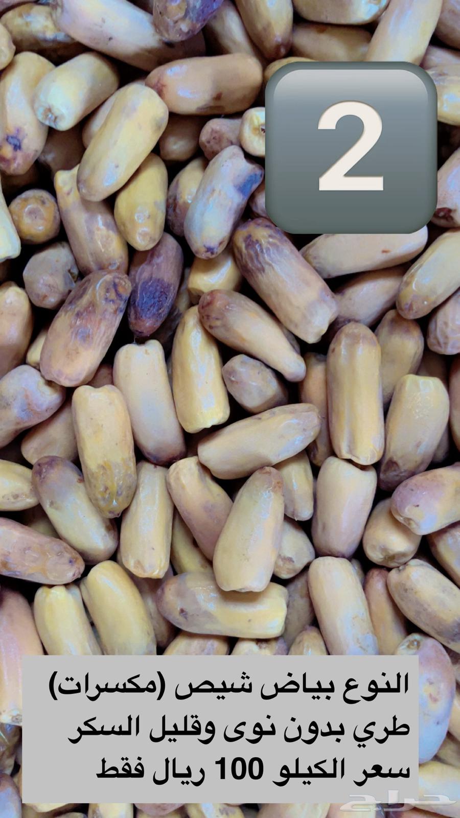 بياض نجران واجود الانواع باقل الاسعار64613349880067112