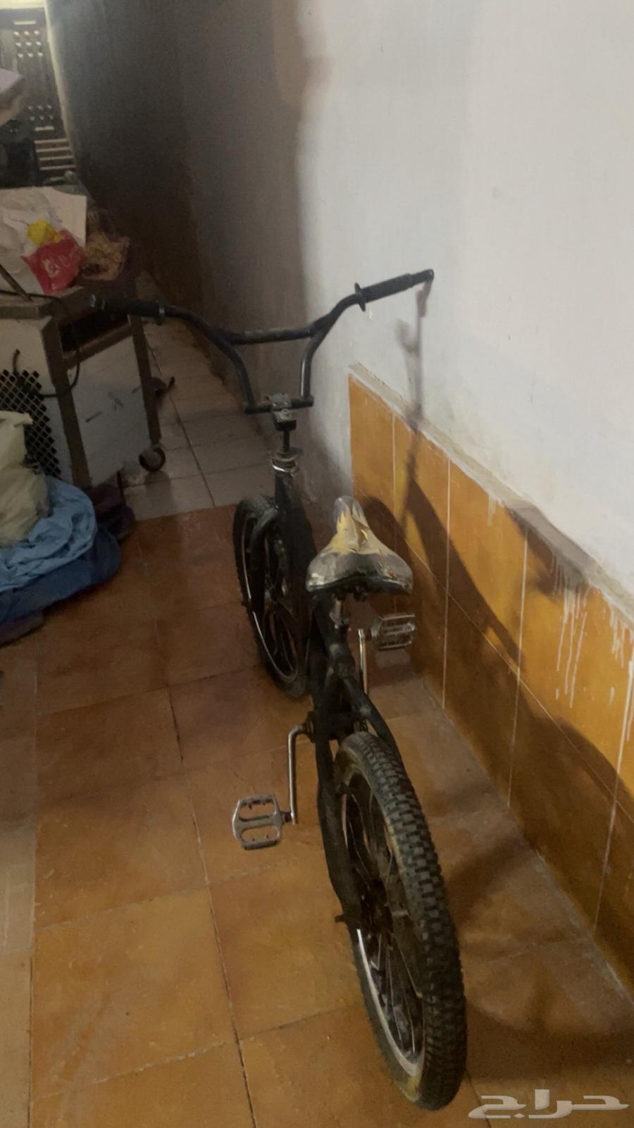 سيكل كوبرا64607159686658111