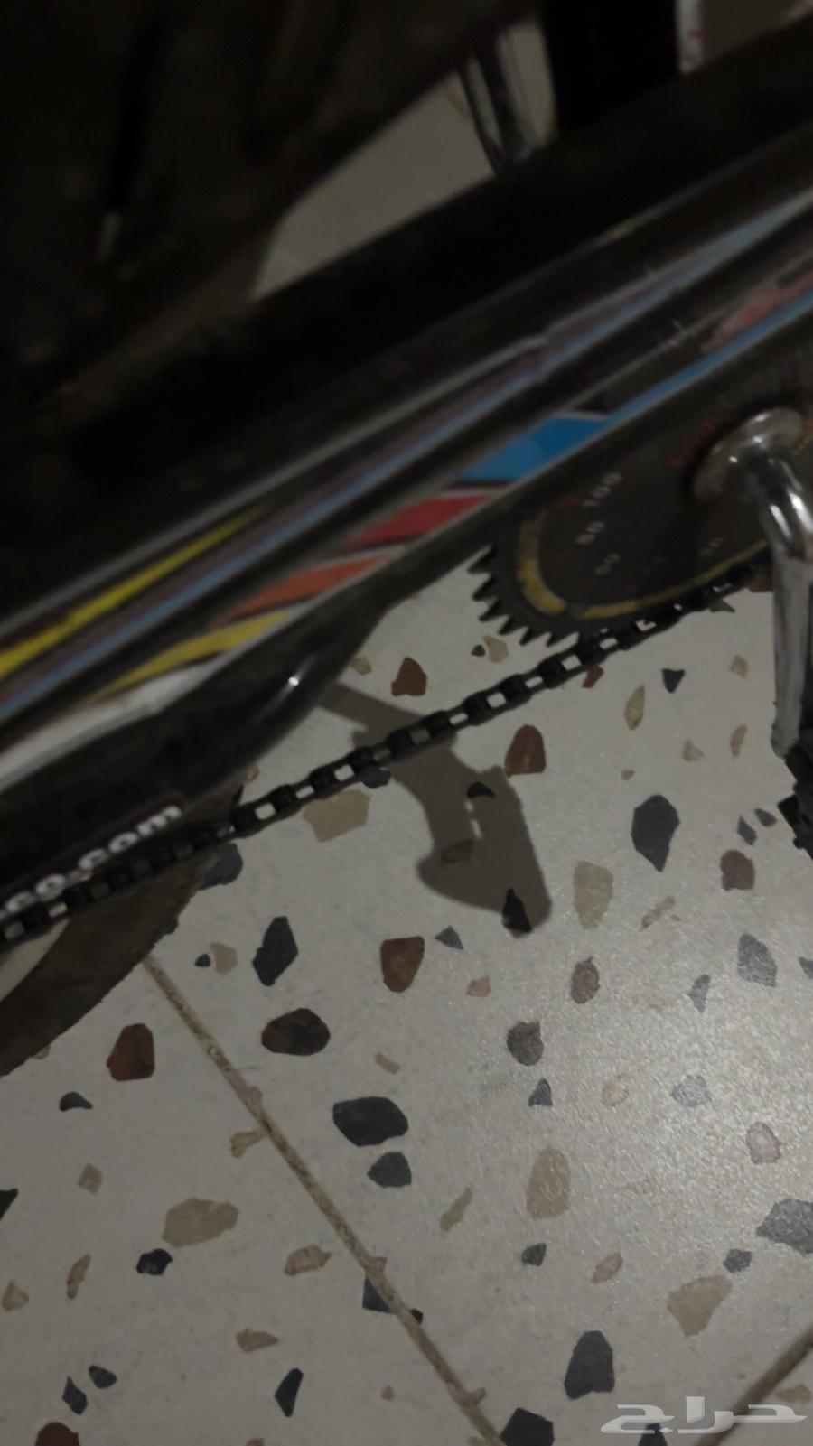 رامبو شبه جديد64616115763457113