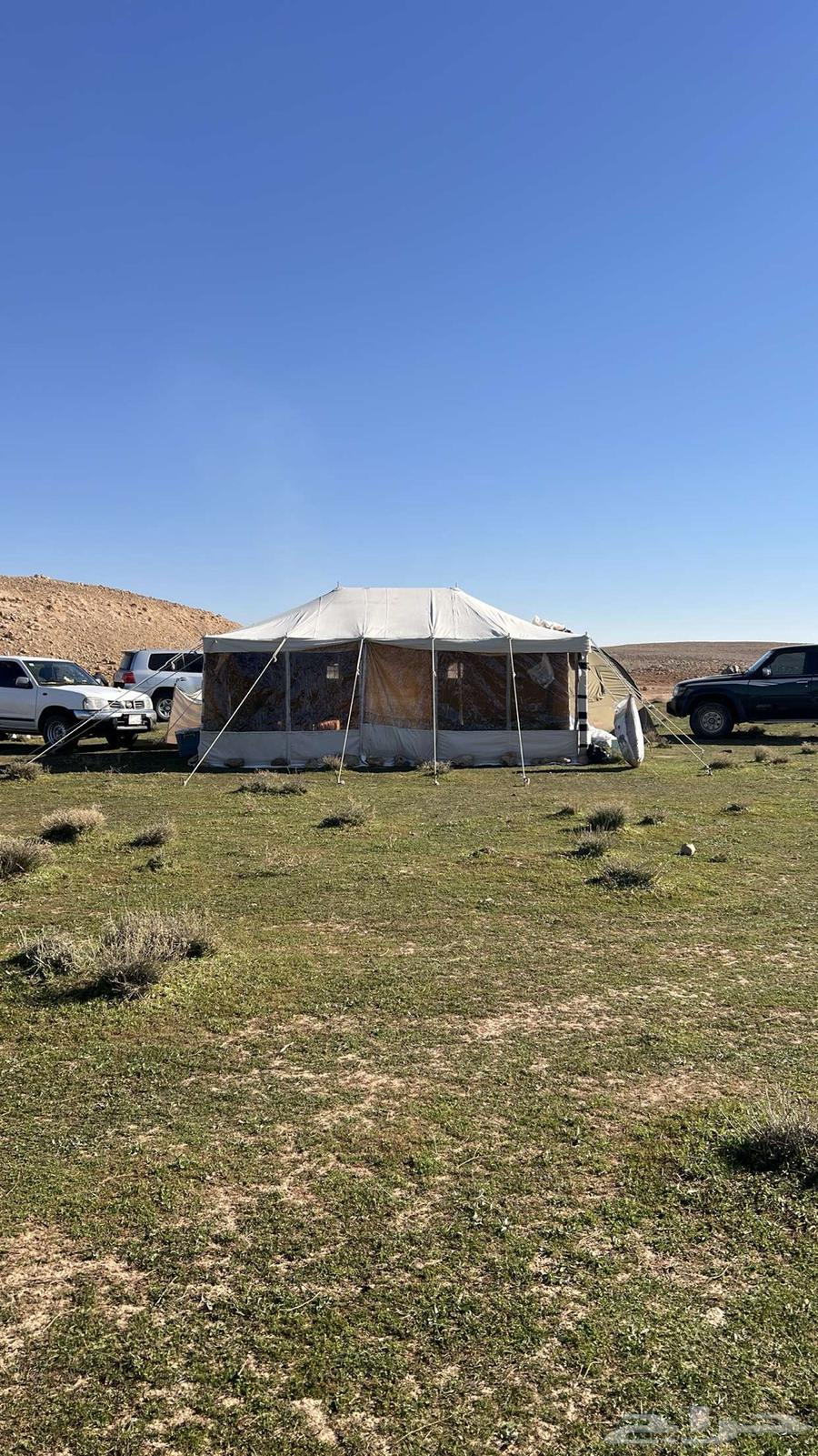 خيمة ام عامودين شرط نضيفه64611480132353110