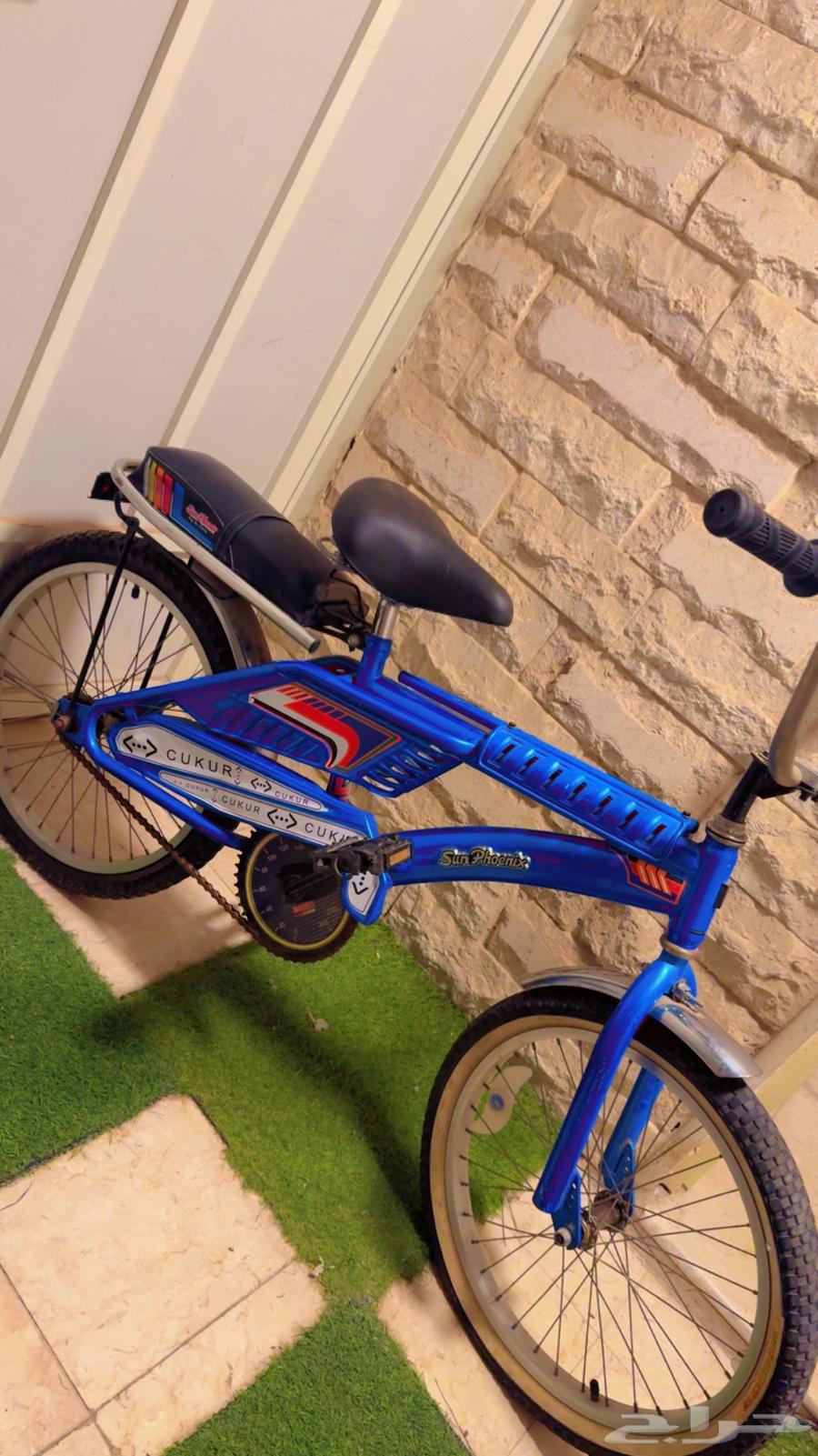 سيكل رامبو جديد السعر 350 ريال64613545281155113