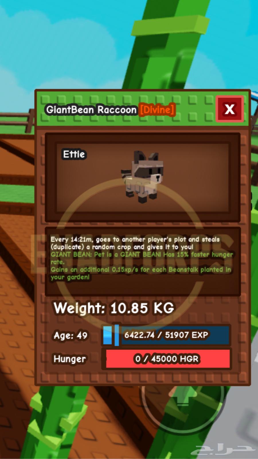 RACCOON راكون رينبو وميقا وذهبي والفاصوليا الخضراء64545217390467111