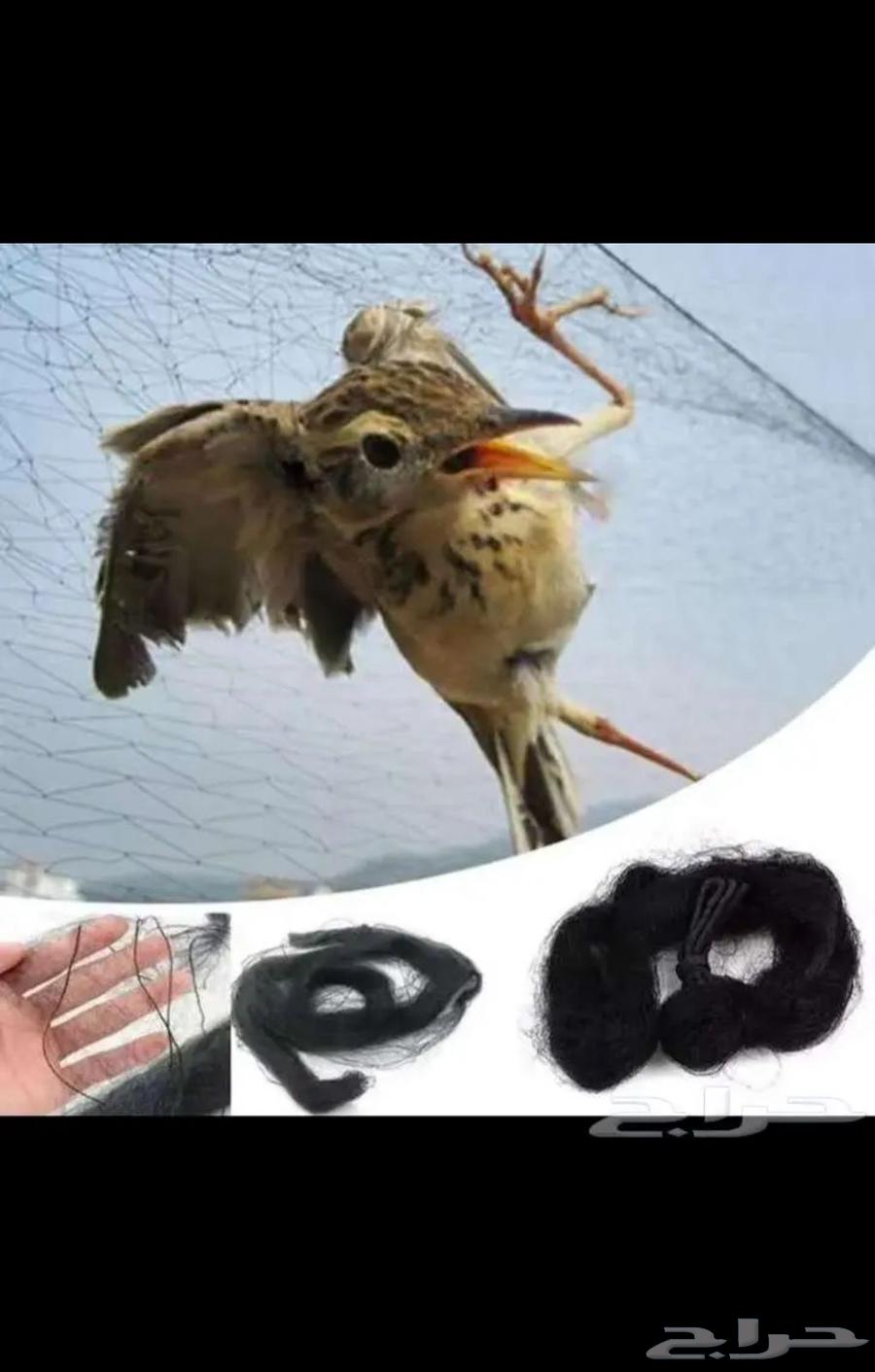 شبكة صيد حرير64607295918210110