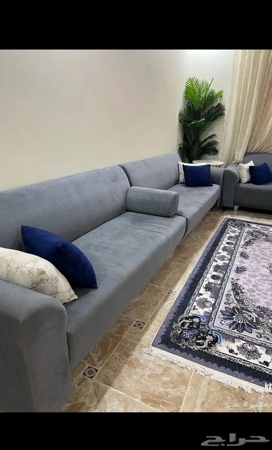 Sofa64614372535426114