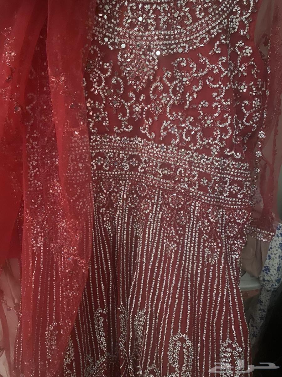 ساري   هندي جديد مانلبس مقاسL جديد64610231964803110