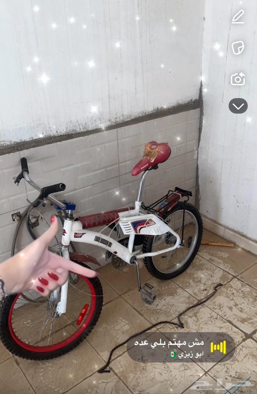 رامبو اندنوسي64615596248578111