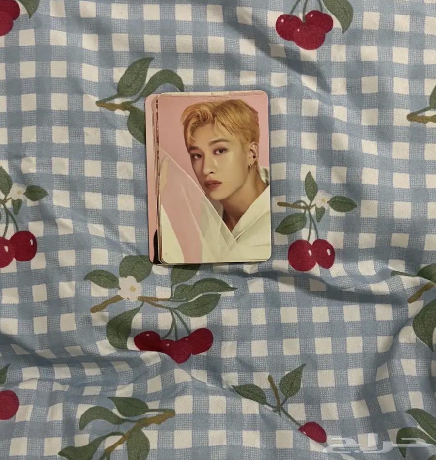 البومات سكيز للبيع64611555375619114