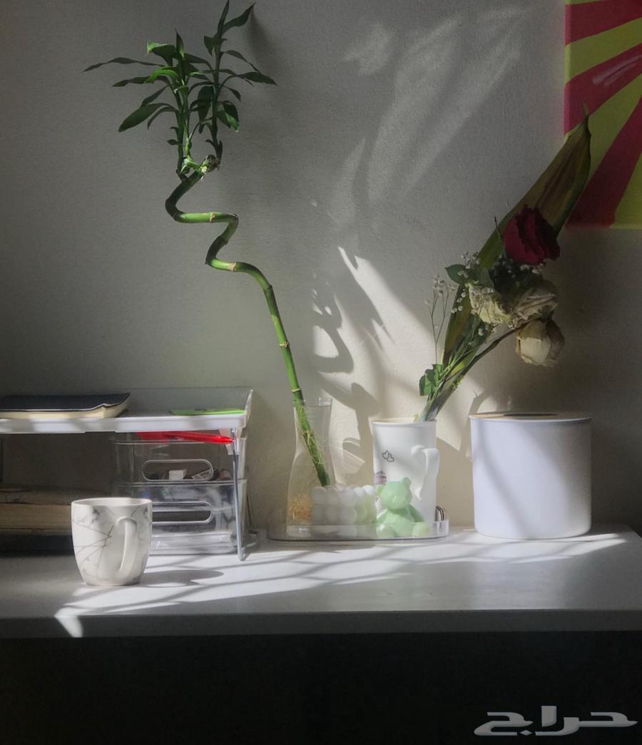 رف مكتبي من ايكيا64610480587649110