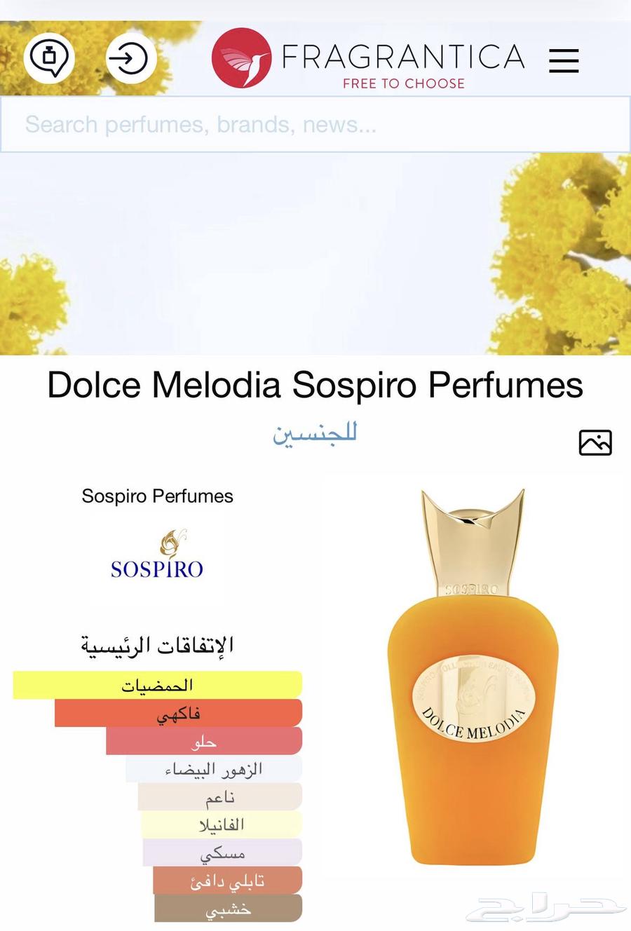 سيسبيرو دولتشي ميلوديا ( مباع )64615744701953112