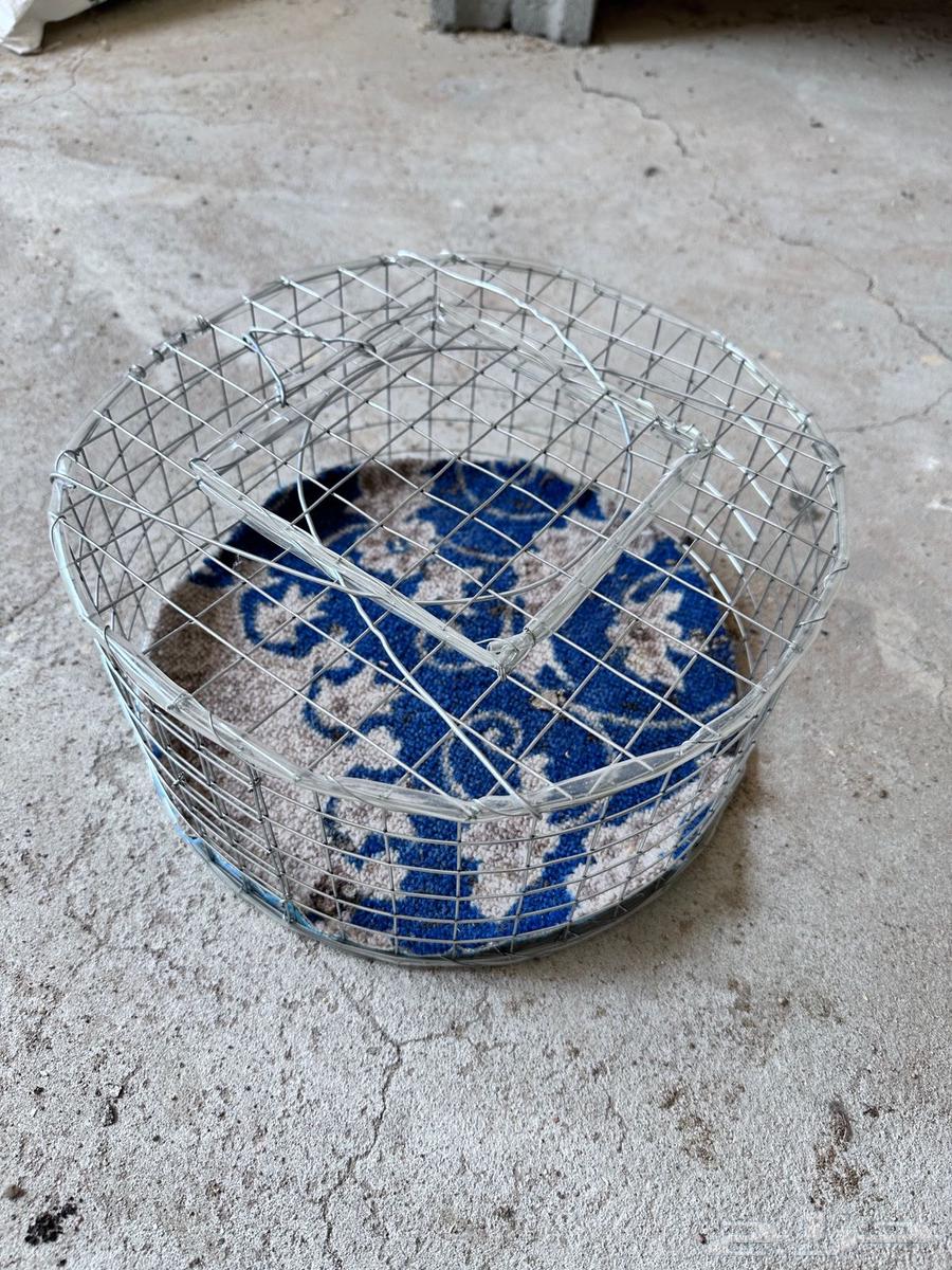 أقفاص طيور64610555208705110