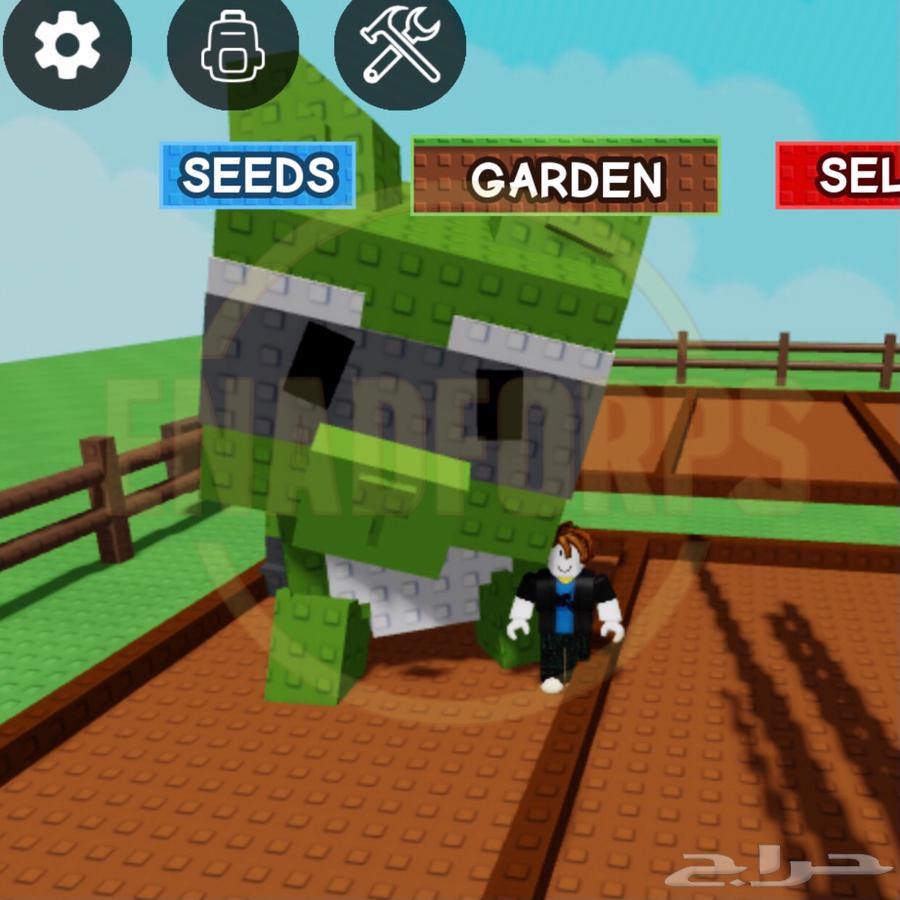 RACCOON راكون رينبو وميقا وذهبي والفاصوليا الخضراء64545217390467110