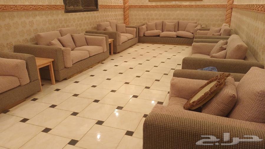 كنب جديد ونظيف ابي فيه 65064615115809155111