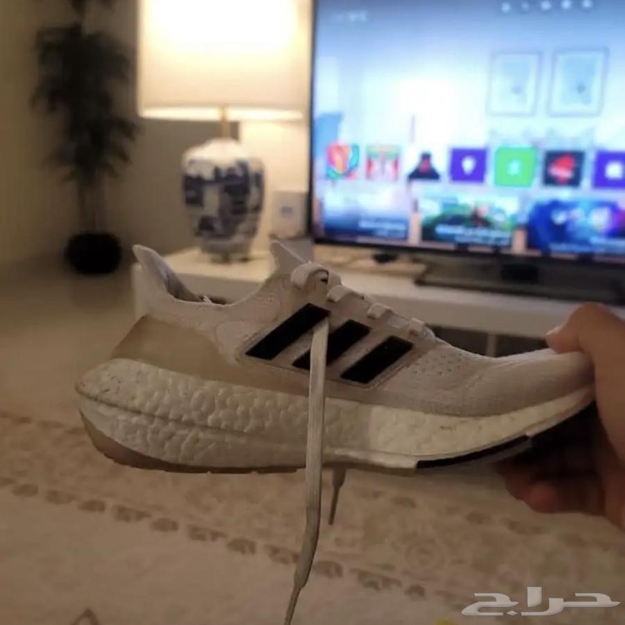 حذاي الترابوست اديداس رياضي64606773830273110