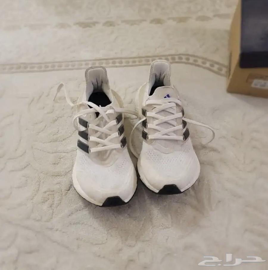 حذاي الترابوست اديداس رياضي64606773830273111