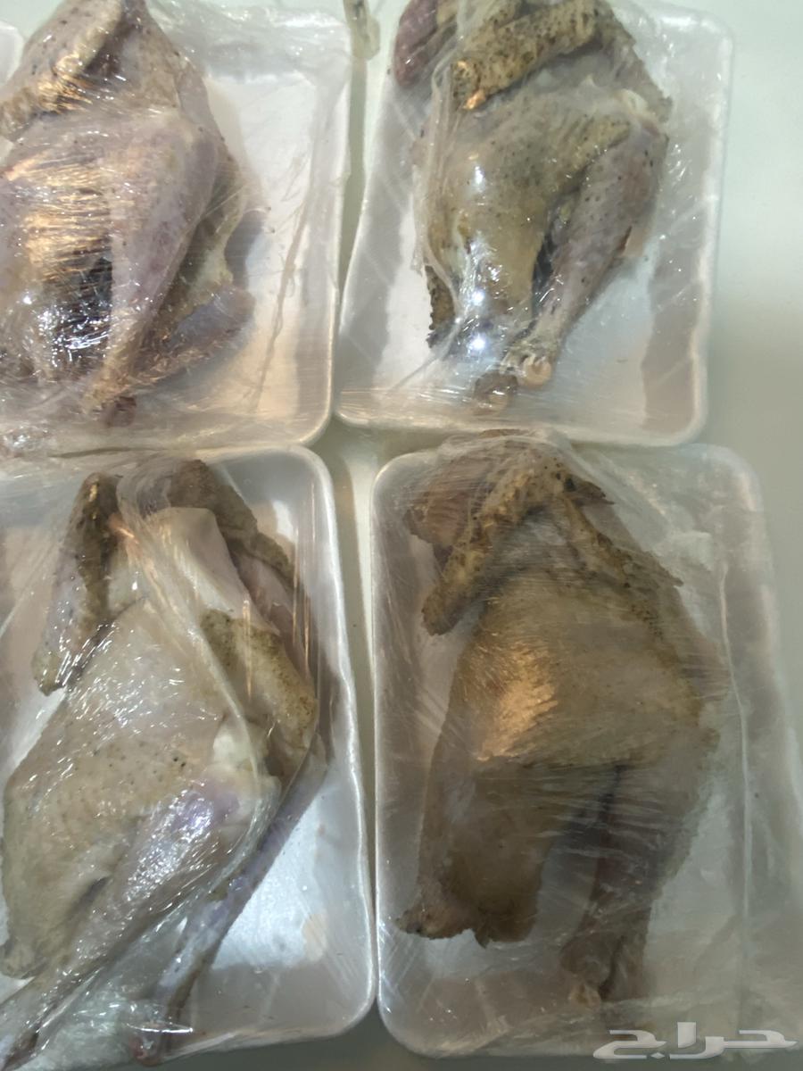 ديكه مذبوحه64611292450050110