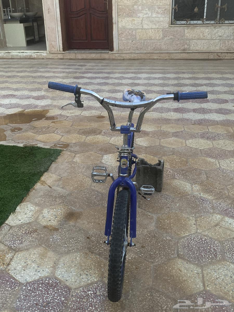 Cobra Bicycle in Al-Qurayyat64612908093825111